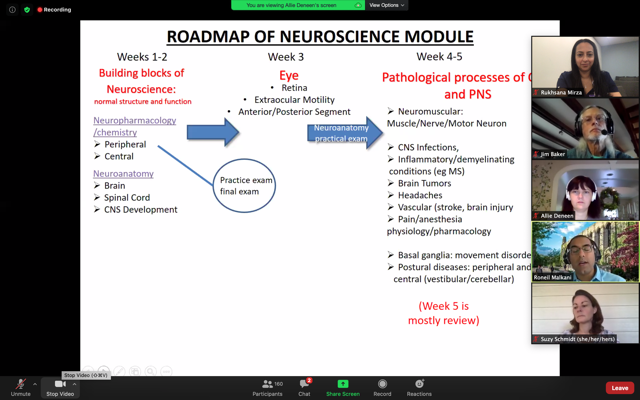 roadmap-of-neuro-2020.png