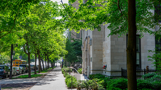 A sidewalk leading to the Ward building on Northwestern's Chicago campus