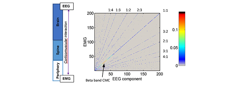 yang-project-1-fig-2.jpg