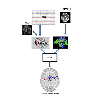 yang-project-2-fig1.jpg