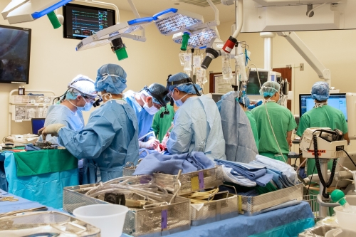 Lung transplant team