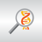 Predicting Prostate Cancer Risk: Are Polygenic Risk Scores Ready for Prime Time?