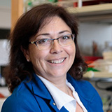 Luisa Iruela-Arispe, PhD